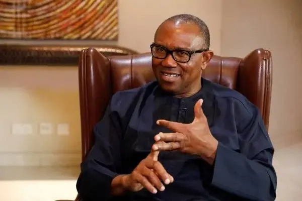 Obi wants PEPC to give him seven weeks to produce 50 witnesses against Tinubu’s election