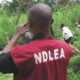 NDLEA secures court's order to sell 111 vehicles, motorcycles abandoned by suspected drug dealers
