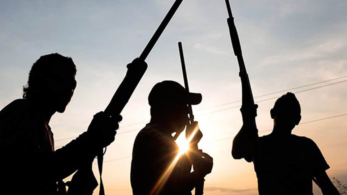 Seven Community Leaders Gunned Down During Village Meeting in Imo State